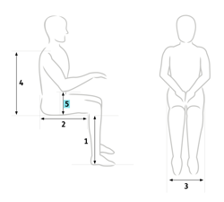 How to measure arm height