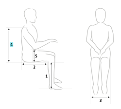 How to measure back height